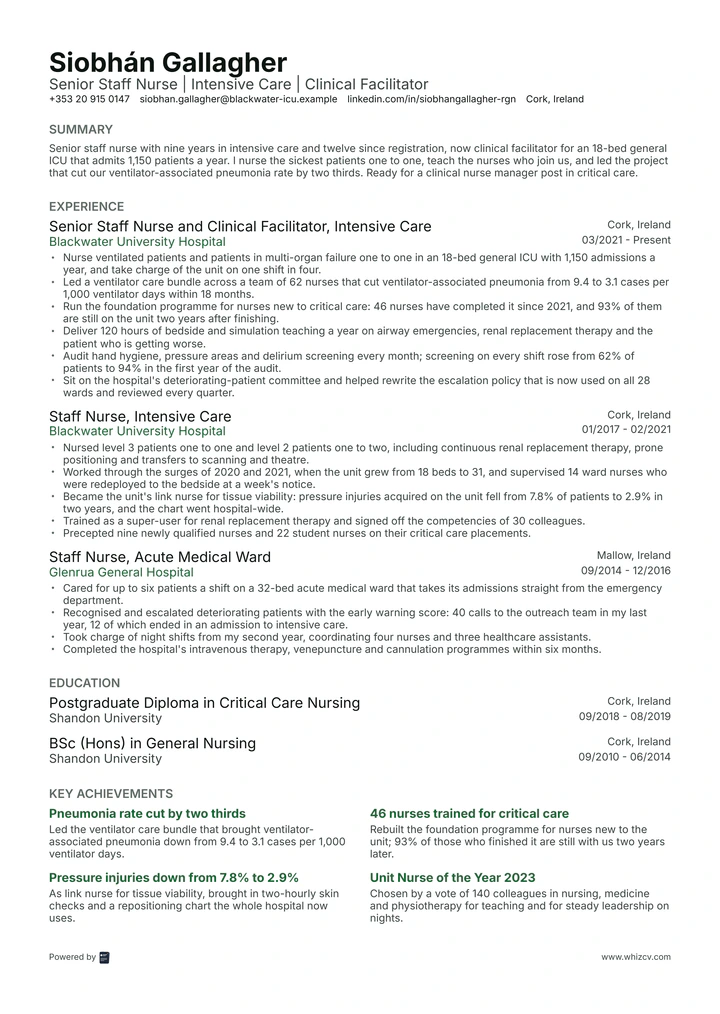 CV template preview: Cedar