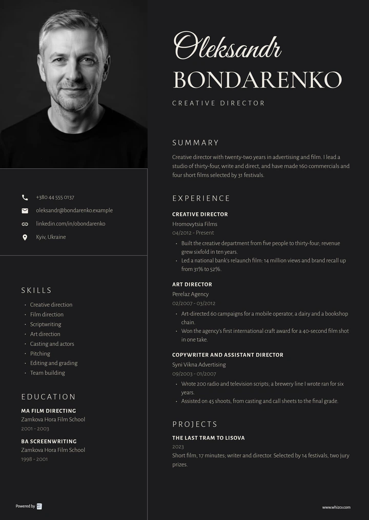 CV template preview: Noir